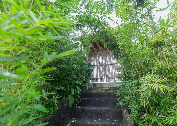 Shigar Livin Bali *
