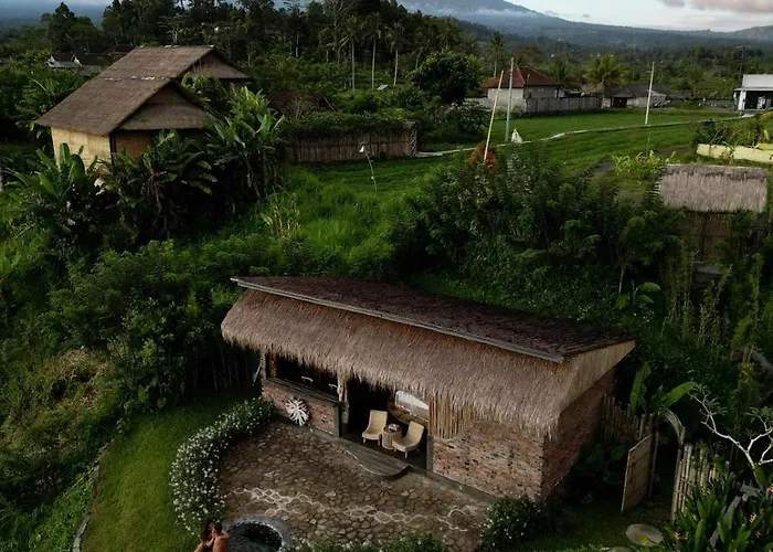 Shigar Livin Bali サイドメン