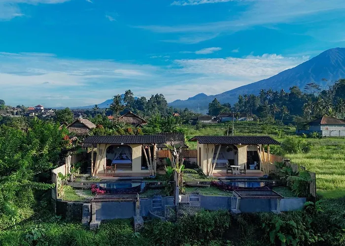 Shigar Livin Bali サイドメン