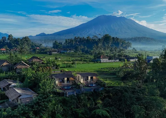 Shigar Livin Bali サイドメン