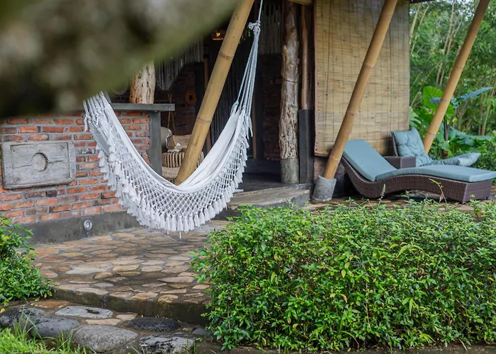 Shigar Livin Bali * サイドメン