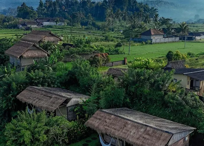 Shigar Livin Bali サイドメン