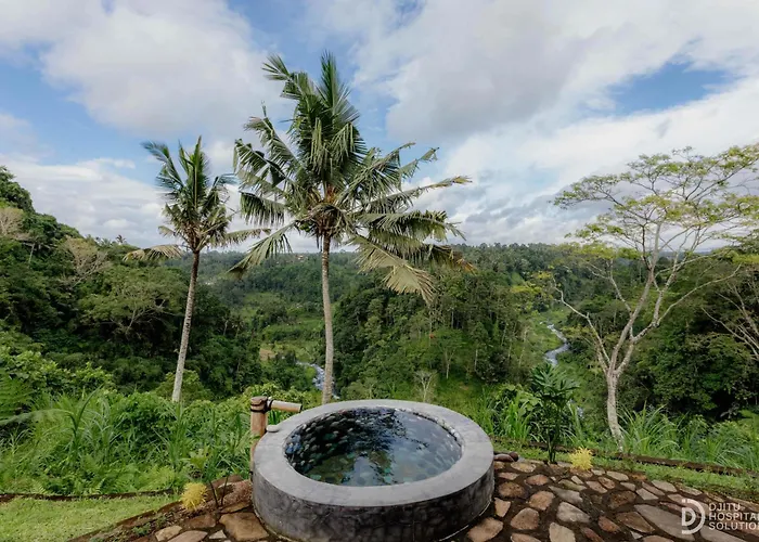Shigar Livin Bali サイドメン
